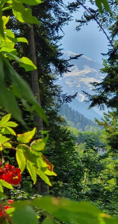 شقة Castel De Roches سا جيرفي لي با المظهر الخارجي الصورة